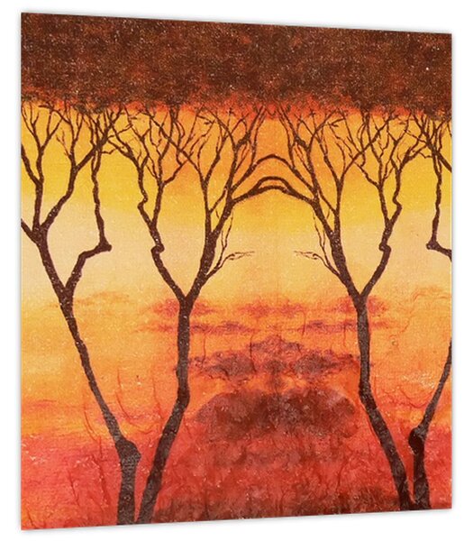Obraz - Africká savana (30x30 cm)