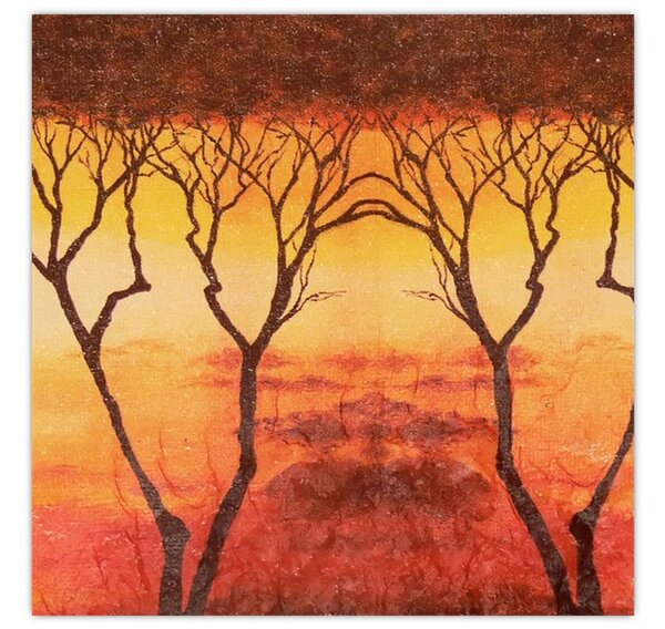 Obraz - Africká savana (30x30 cm)