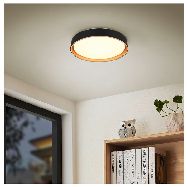 Stropní LED svítidlo FELIS černá/zlatá