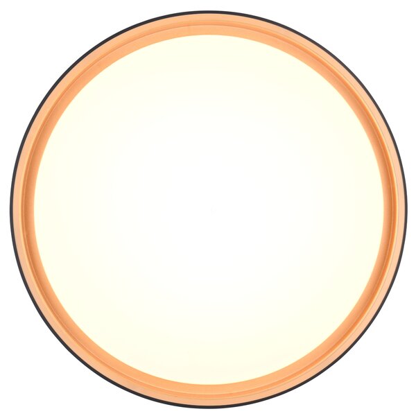 Stropní LED svítidlo FELIS černá/zlatá