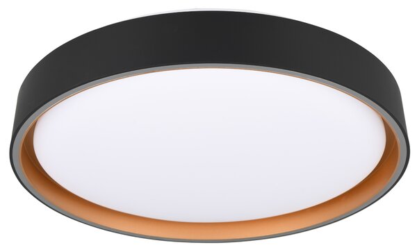 Stropní LED svítidlo FELIS černá/zlatá