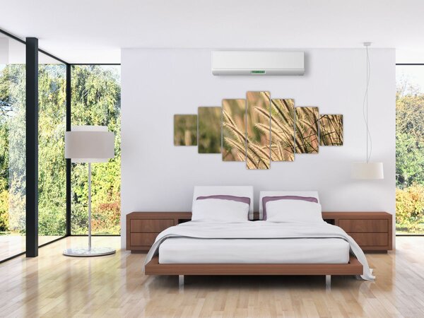 Obraz - Obilí (210x100 cm)