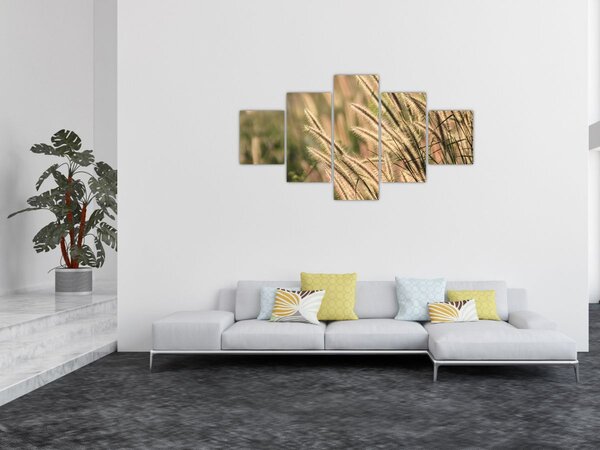Obraz - Obilí (125x70 cm)