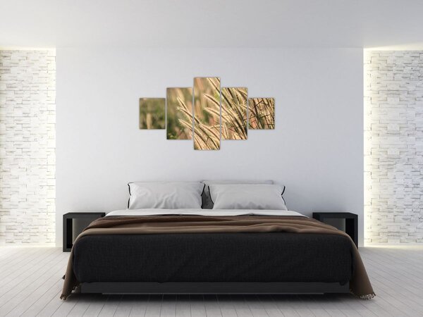 Obraz - Obilí (125x70 cm)