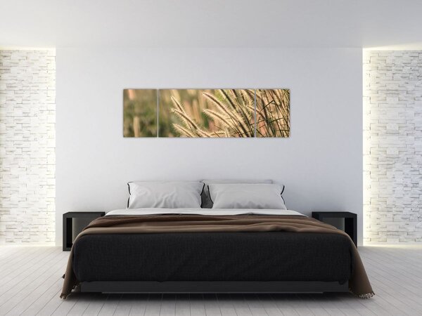 Obraz - Obilí (170x50 cm)