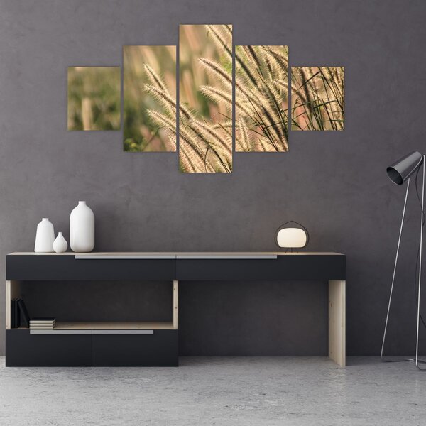 Obraz - Obilí (125x70 cm)
