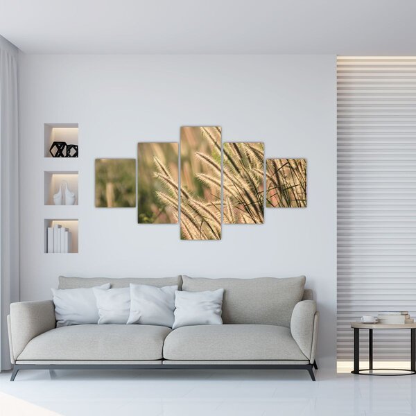 Obraz - Obilí (125x70 cm)