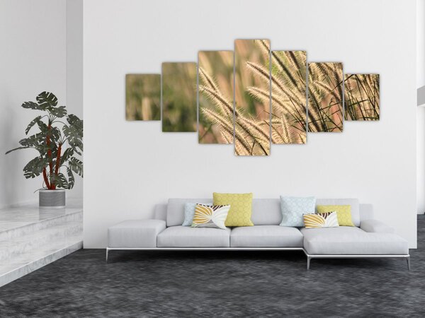 Obraz - Obilí (210x100 cm)
