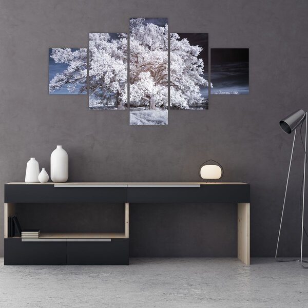 Obraz - Sněhobílý strom (125x70 cm)