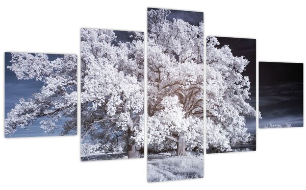 Obraz - Sněhobílý strom (125x70 cm)