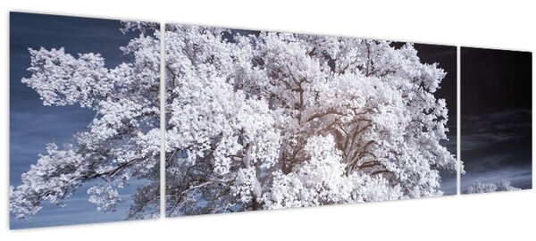 Obraz - Sněhobílý strom (170x50 cm)