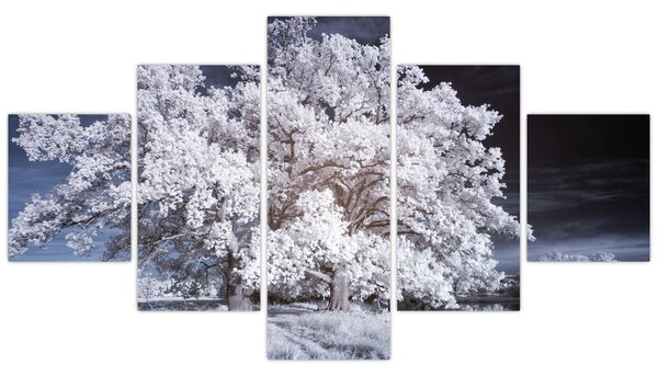 Obraz - Sněhobílý strom (125x70 cm)