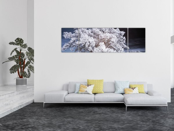 Obraz - Sněhobílý strom (170x50 cm)