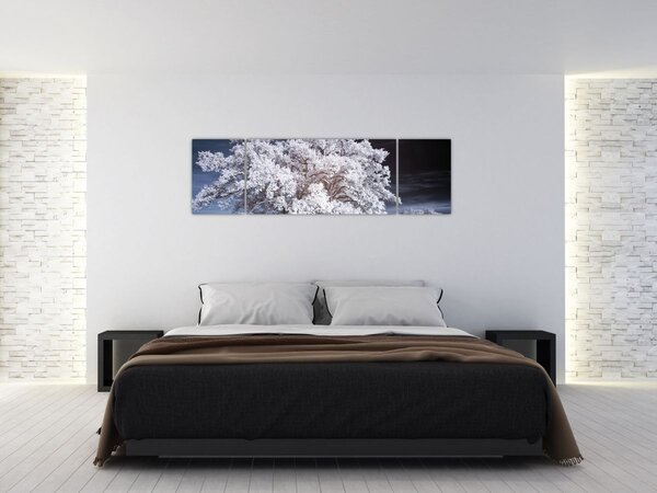 Obraz - Sněhobílý strom (170x50 cm)