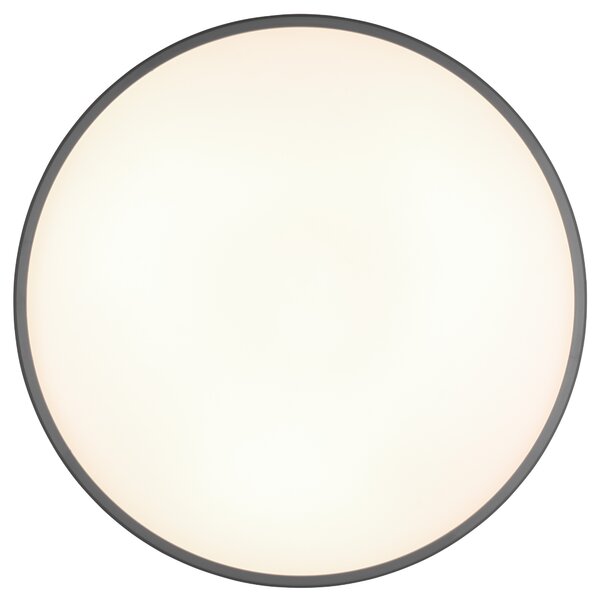 Stropní LED svítidlo LIMBUS titan/bílá