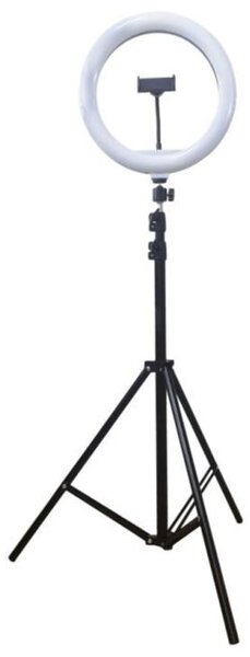 Selfie kruhové svítidlo DERRIS černá/bílá