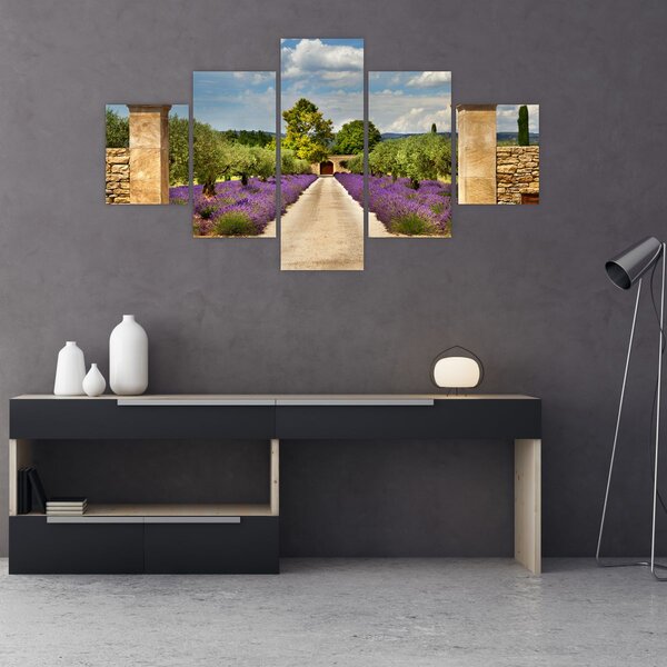 Obraz - Levandulové cesty (125x70 cm)