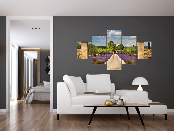 Obraz - Levandulové cesty (125x70 cm)
