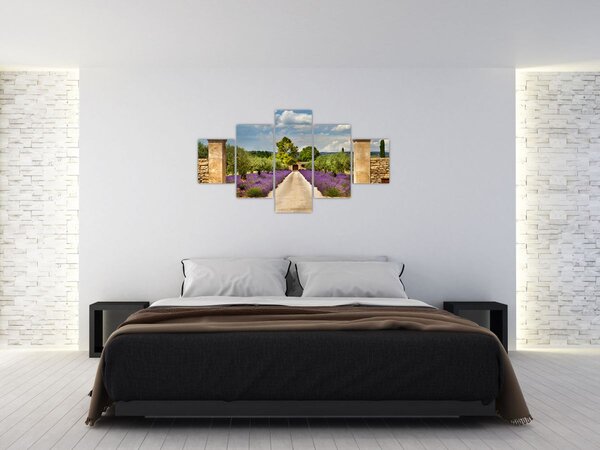 Obraz - Levandulové cesty (125x70 cm)
