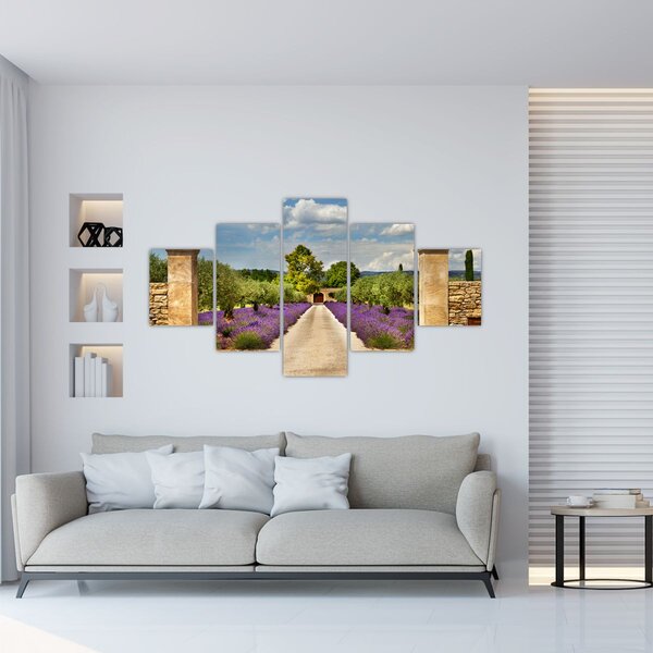 Obraz - Levandulové cesty (125x70 cm)