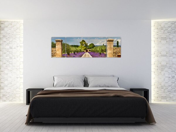 Obraz - Levandulové cesty (170x50 cm)