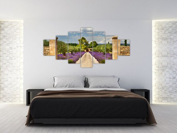 Obraz - Levandulové cesty (210x100 cm)