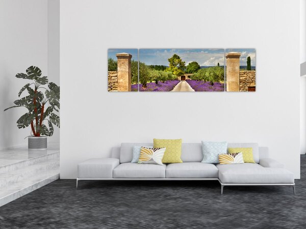 Obraz - Levandulové cesty (170x50 cm)