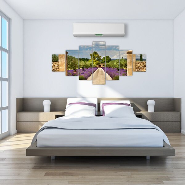 Obraz - Levandulové cesty (210x100 cm)