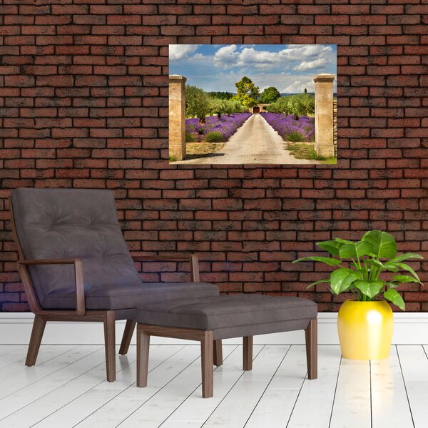 Obraz - Levandulové cesty (70x50 cm)