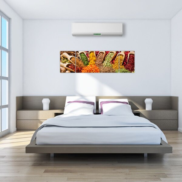 Obraz - Koření z celého světa (170x50 cm)