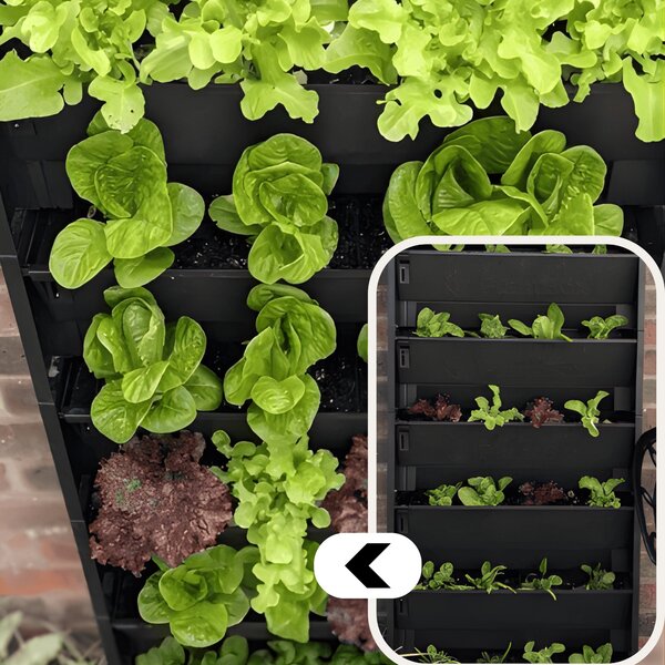 PlantBox - Živá stěna 5 modulů