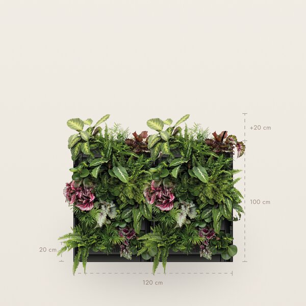 PlantBox - Živá stěna 3 moduly