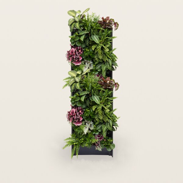 PlantBox - Živá stěna 10 modulů