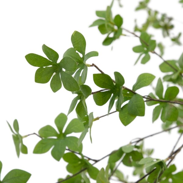Umělá květina Kave Home Enkianthus 214 cm