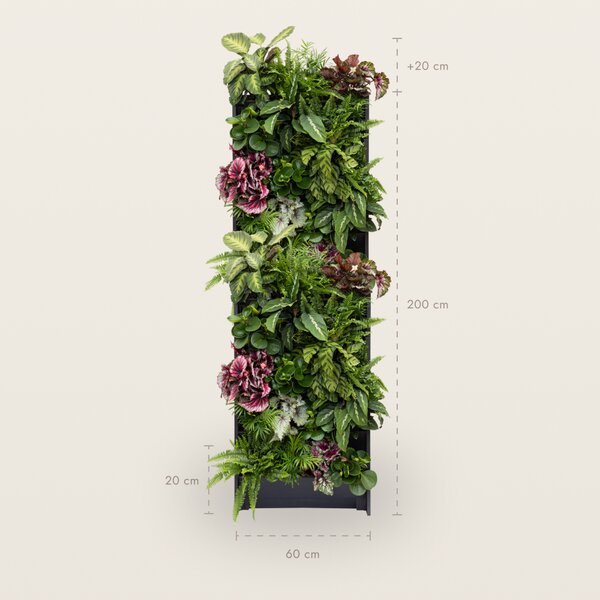 PlantBox - Živá stěna 10 modulů