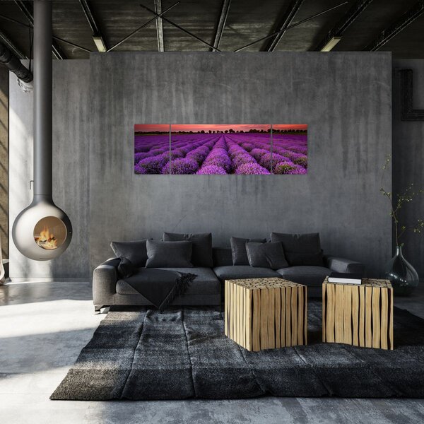 Obraz - Levandulové pole (170x50 cm)