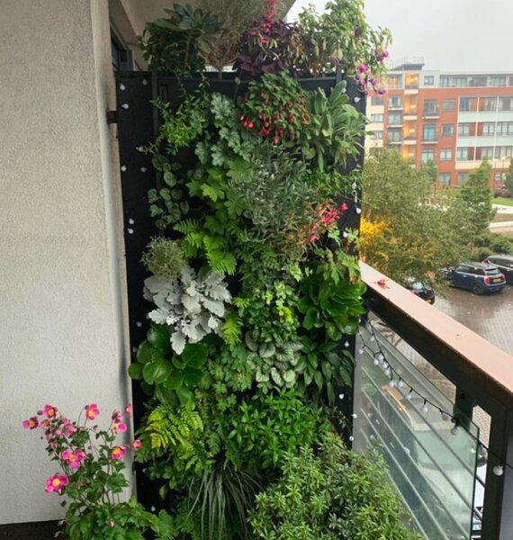 PlantBox - Živá stěna 1 modul