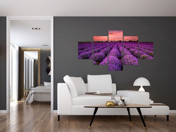 Obraz - Levandulové pole (125x70 cm)
