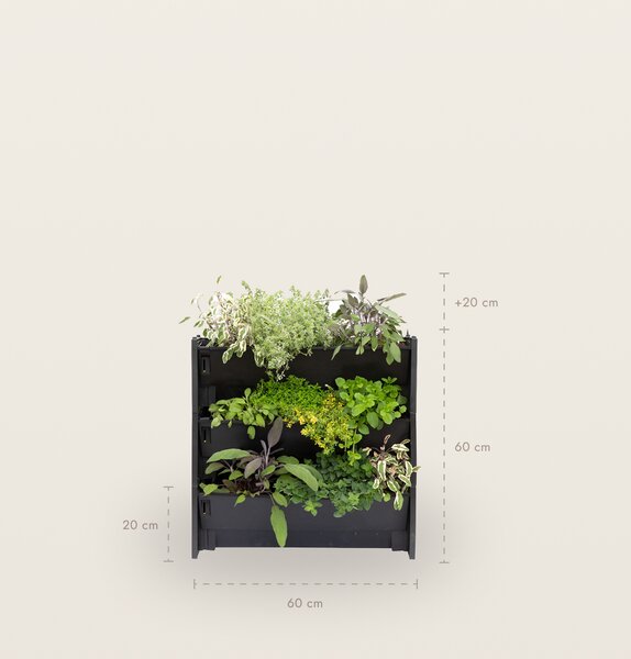 PlantBox - Živá stěna 1 modul