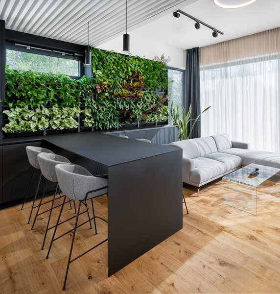 PlantBox - Živá stěna 1 modul