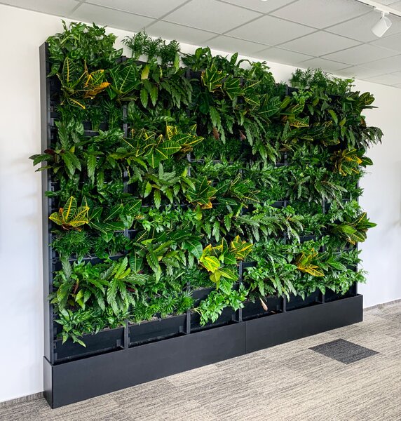 PlantBox - Živá stěna 1 modul