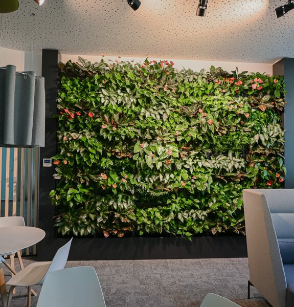 PlantBox - Živá stěna 1 modul
