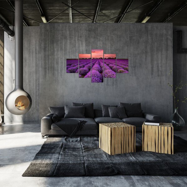 Obraz - Levandulové pole (125x70 cm)
