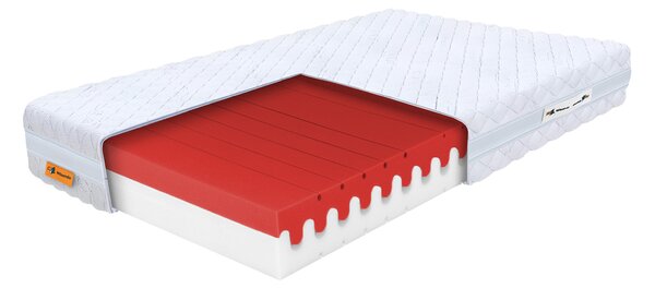 Wilsondo Pěnová zdravotní matrace Mery 90x200x20 - potah Silver