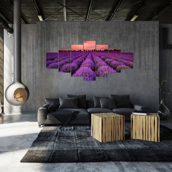 Obraz - Levandulové pole (210x100 cm)