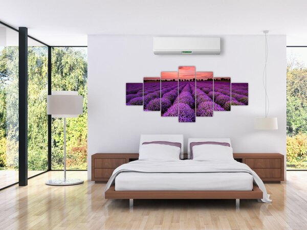 Obraz - Levandulové pole (210x100 cm)