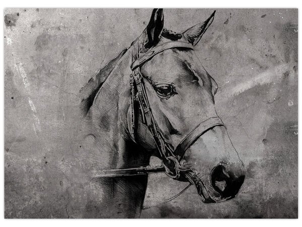 Obraz - Portrét koně (70x50 cm)