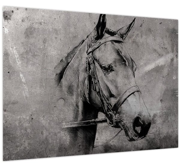 Obraz - Portrét koně (70x50 cm)