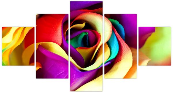 Obraz - Barevná růže (125x70 cm)