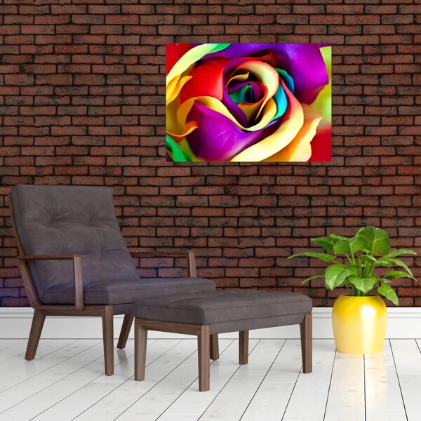 Obraz - Barevná růže (70x50 cm)